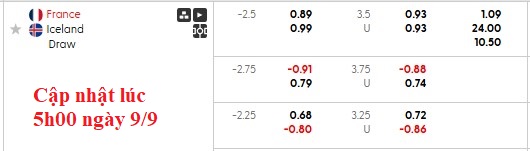 Quang cảnh trận đấu bóng đá giữa Pháp và Iceland tại vòng loại World Cup