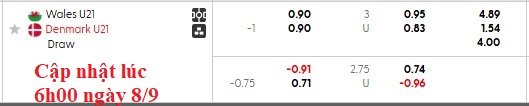 Dự đoán chuyên sâu trận đấu U21 Wales và U21 Đan Mạch tại vòng loại U21 châu Âu